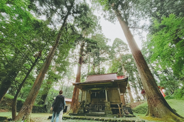 【GW限定】家族で楽しむ香美町 日帰り満喫モデルコース