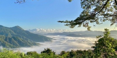 早起きの特権！朝早くに現れる雲海